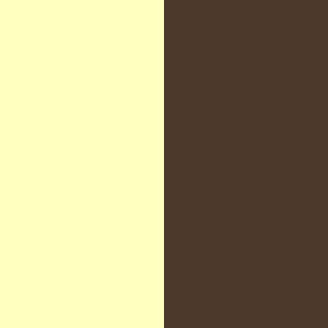 VANILLA/CHOCOLATE