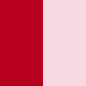 RUBIS/ROSE